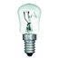 Picture of 25w SES Clear Pygmy Lamp