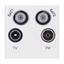 Picture of TV/FM/SAT QUADPLEXER MODULE
White Plastic Euro Module