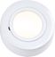 Picture of 20watt LV Cabinet Fitting White
CRF02W