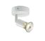 Picture of GU10 Surface Spot Fitting White
spinkle