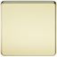 Picture of 1 GANG BLANK PLATE  SCREWLESS FLAT PLATE
POLISHED BRASS