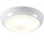 Picture of 28W 2D ROUND WHITE/OPAL BULKHEAD C/W LAMPPOLO     KNIGHTSBRIDGE