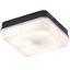 Picture of 28W 2D SQUARE BLACK/OPAL BULKHEAD C/W LAMP
EMERGENCY KNIGHTSBRIDGE