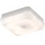 Picture of 28W 2D SQUARE WHITE/OPAL BULKHEAD C/W LAMPKNIGHTSBRIDGE