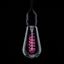 Picture of 4W PINK LED FUNKY FILAMENT 110V - 240V
NON DIMMABLE SUITABLE FOR EXTERNAL USE