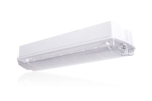 Picture of LED BULKHEAD  5W  MAINTAINED AND NON
MAINTAINED INTEGRAL