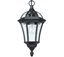 Picture of HANGING LANTERN 60W ES
DRAYTON SAXBY