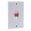 Picture of 2gang 45amp Double Pole Switch Flat Platewhite plastic