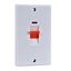 Picture of 2gang 45amp Double Pole Switch Neon Flatwhite plastic
