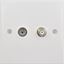 Picture of Twin Satellite / Coaxial Socketwhite plastic