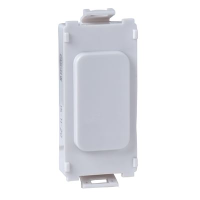 Picture of Blank ModuleWhite Plastic