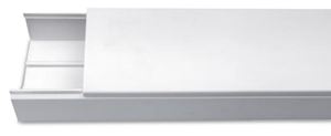 Picture of 100x100 Maxi Trunking
