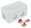 Picture of COMBI BOX WHITE C/W WAGO 221 85x49x51mm
10109902