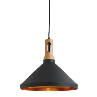 Picture of BLACK/WOOD PENDANT
60W ES