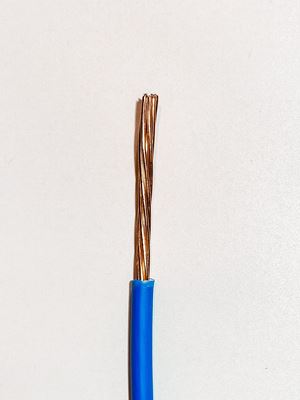 Picture of Cable Singles Stranded 16mm Blue
6491x