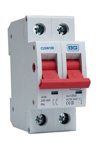 Picture of BG 100A MAIN SWITCH