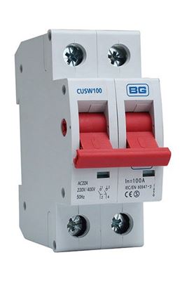 Picture of BG 100A MAIN SWITCH