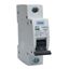 Picture of 32amp MCB for BG Fuse Board
BG.