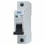 Picture of 50amp MCB for BG Fuse Board
BG.
