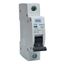 Picture of 10amp C TYPE MCB for BG Fuse Board
BG.