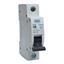 Picture of 40amp C TYPE MCB for BG Fuse Board
BG.