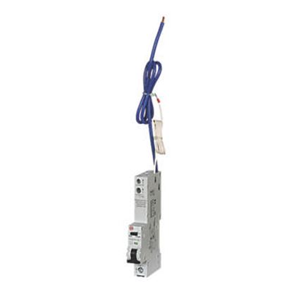 Picture of 50amp SP Type B 16ka RCBO
WYLEX