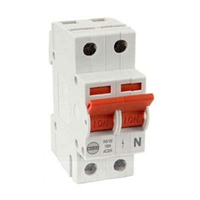 Picture of 100A DP MAINS SWITCH
WYLEX