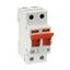 Picture of 100A DP MAINS SWITCH
WYLEX