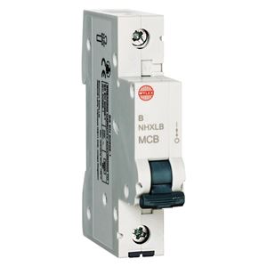 Picture of 6amp Miniature Circuit
WYLEX