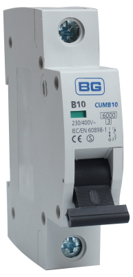 Picture of 10amp MCB for BG Fuse Board
BG.