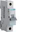 Picture of 10amp MCB Hager