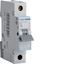 Picture of 16amp MCB Hager