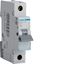Picture of 40amp MCB Hager