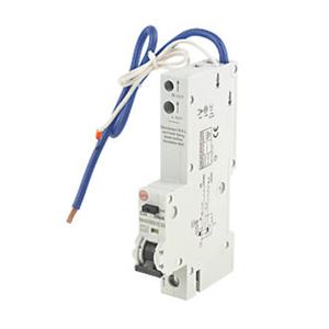 Picture of 16amp SP Type B 16ka RCBO
WYLEX
