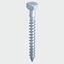 Picture of M10x100 Coach Screw BZP
Bag28 TIMbag