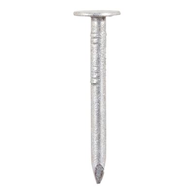 Picture of 500g   30mm Galv'd Clout Nails
Prepacked