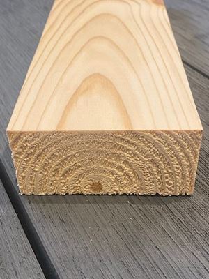 Picture of 50x100 PAR Softwood