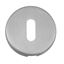 Picture of SSS Std Keyway Escutcheon 52x8mm