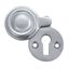 Picture of SCP Covered Keyhole Escutcheon