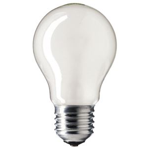 Picture of 03052 100w es  pearl 110v