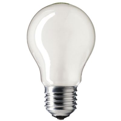 Picture of 03052 100w es  pearl 110v