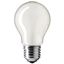 Picture of 03052 100w es  pearl 110v