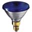 Picture of 80w Flood PAR38 Reflector BLUE