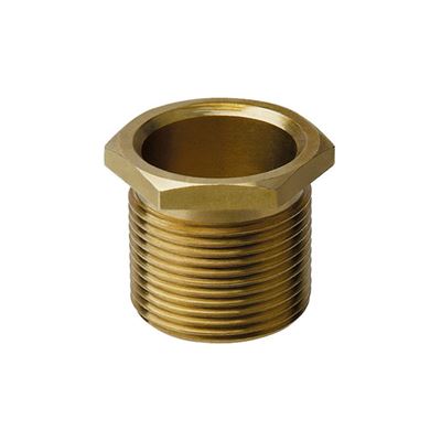 Picture of 25MM MALE BRASS BUSH LONG