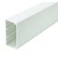 Picture of 100x50mm Maxi Trunking 3 mtr length