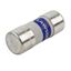Picture of 100amp Cartridge Fuse30mm diameter