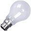 Picture of 60w BC GLS Pearl Lamp 240v