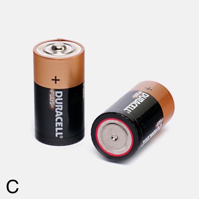 Picture of 'C' Size Battery