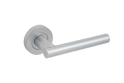 Picture of SCP Aurelia Lever on Rose