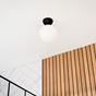 Picture of ORBITAL IP44 BLACK/GLASS  BATHROOM FITTING